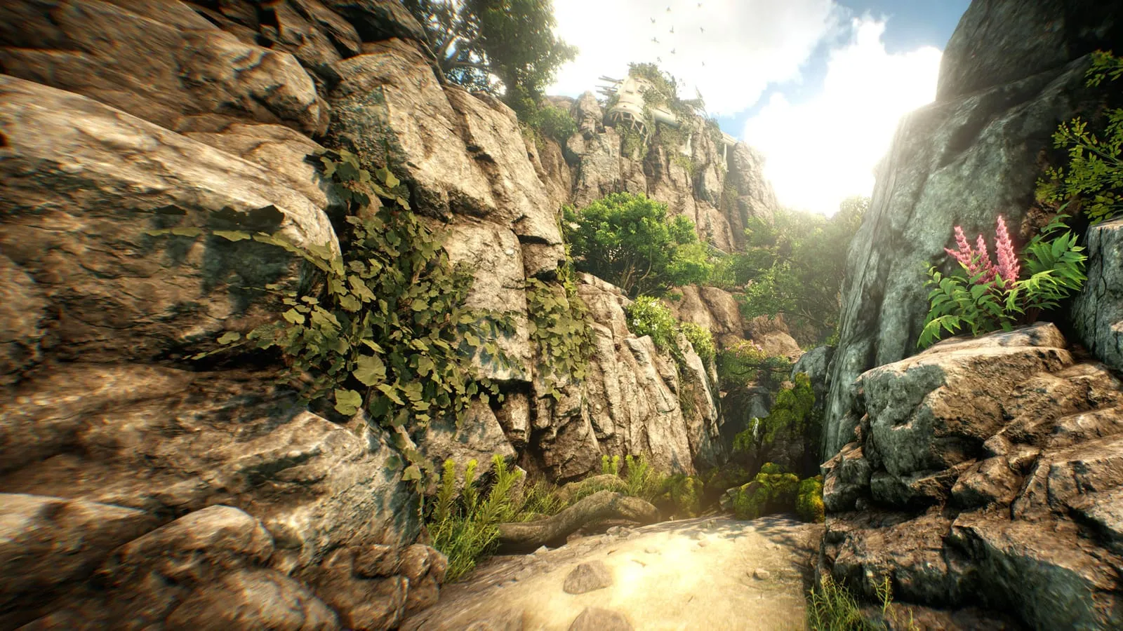 Кадр из игры Survival VR, 1